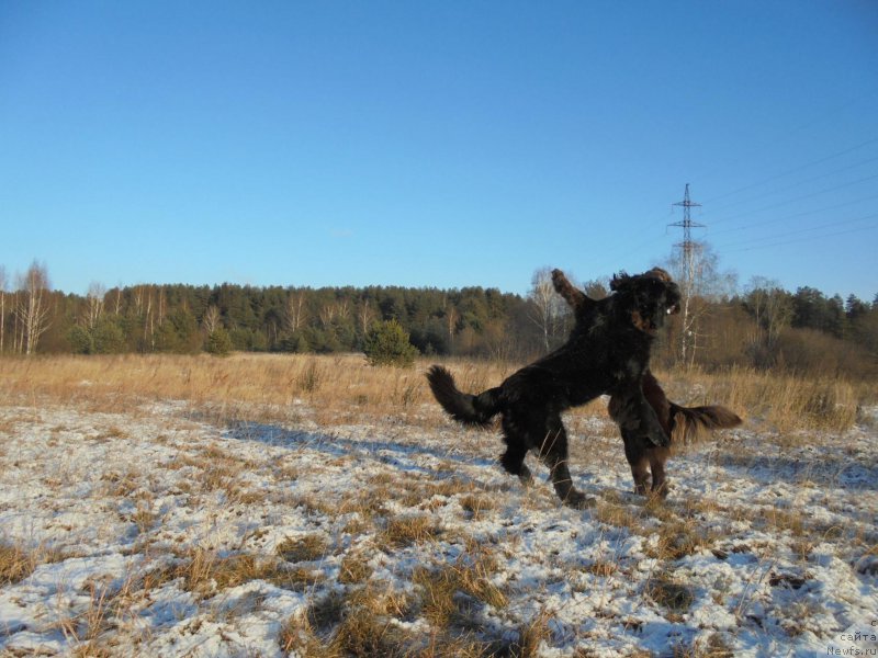 Фотография № 199127