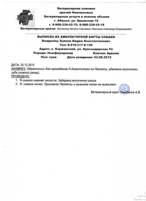 Фото: Наталья Смазчикова