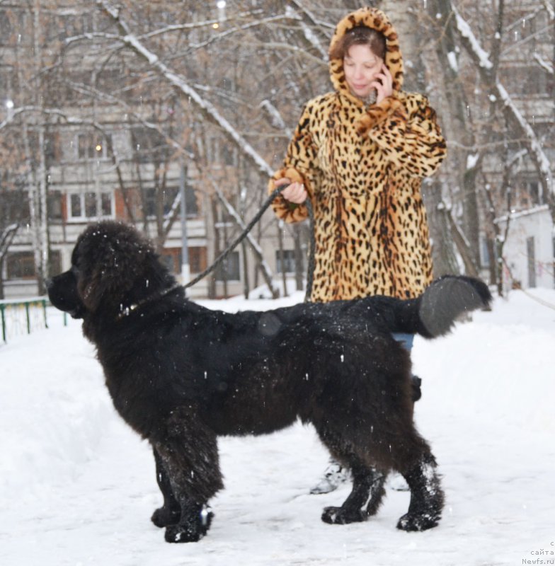 Фотография № 199130