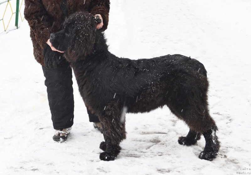 Фотография № 199132