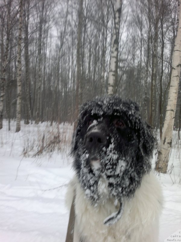 Фотография № 199136