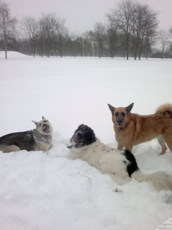 Фотография № 199137