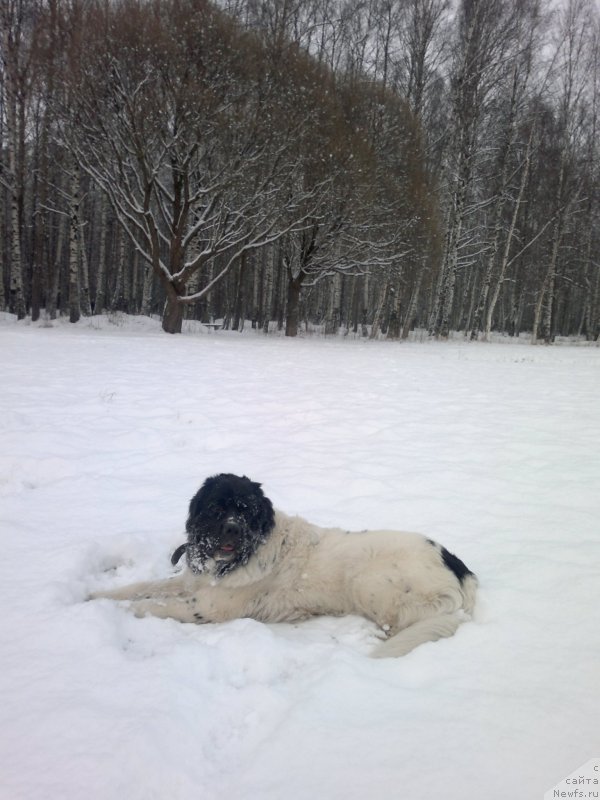 Фотография № 199141