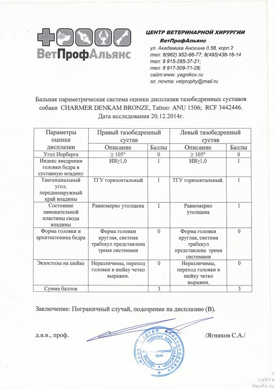 Фото: ньюфаундленд Чармер Денкам Бронз (Charmer Denkam Bronze)