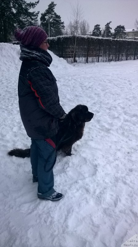 Фотография № 199203