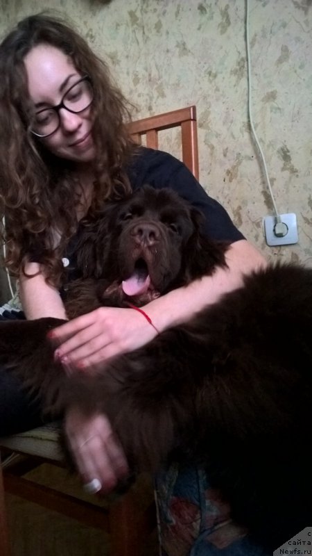 Фотография № 199206