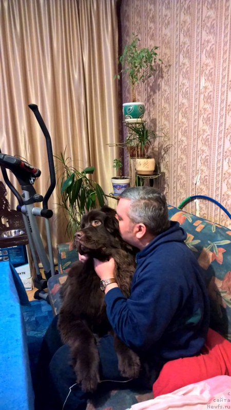 Фотография № 199208