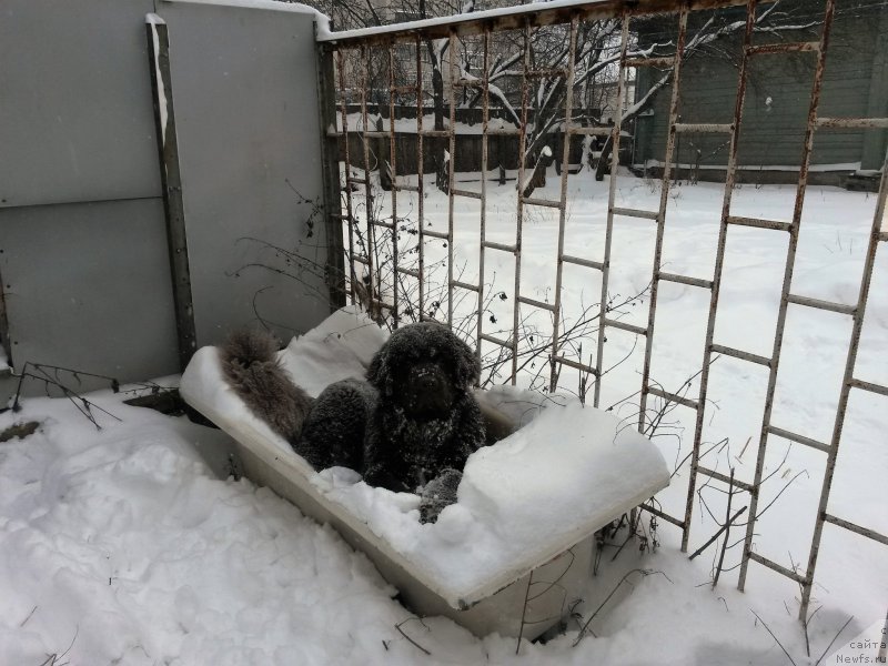 Фотография № 199220