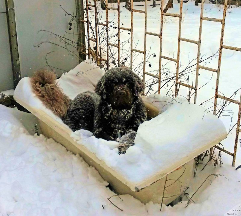 Фотография № 199221