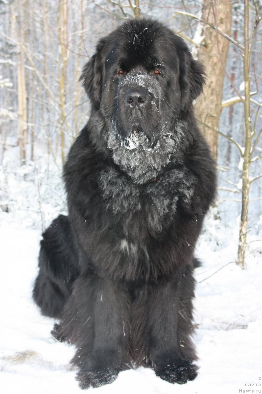 Фото: Вера Дорошкевич