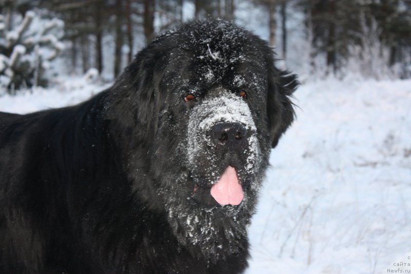 Фотография № 199224