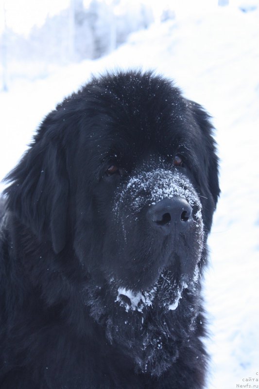 Фотография № 199241