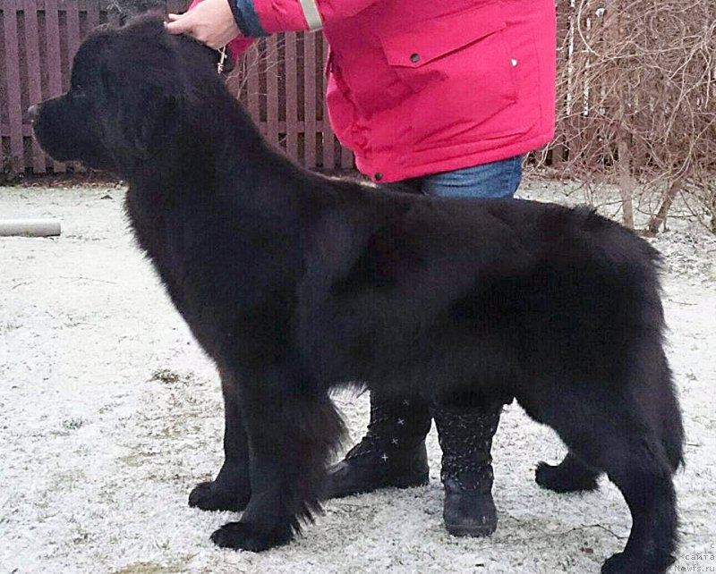 Фотография № 199251