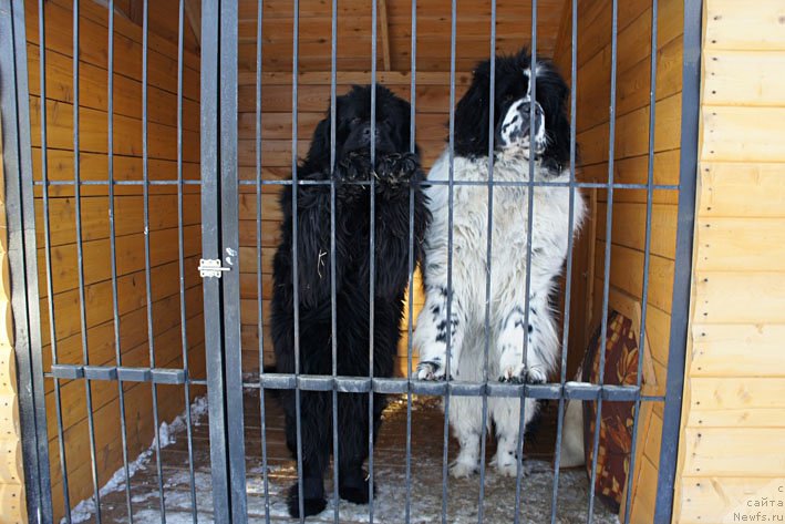 Фотография № 199294