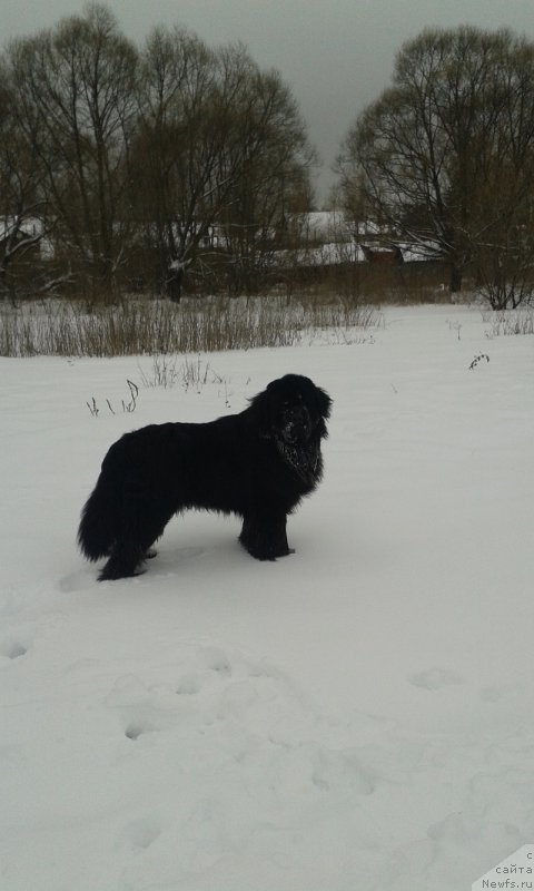 Фотография № 199336