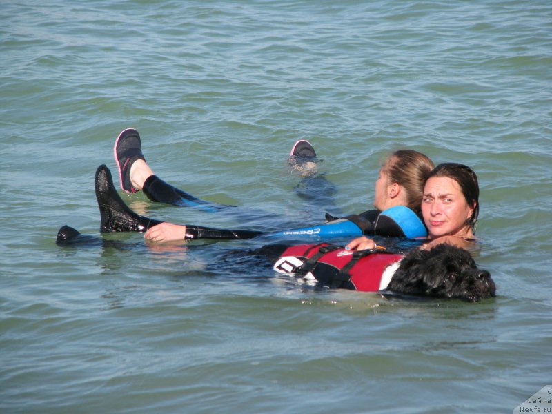 Фотография № 199345