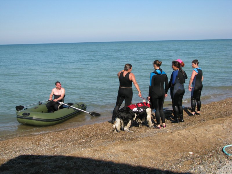 Фотография № 199347