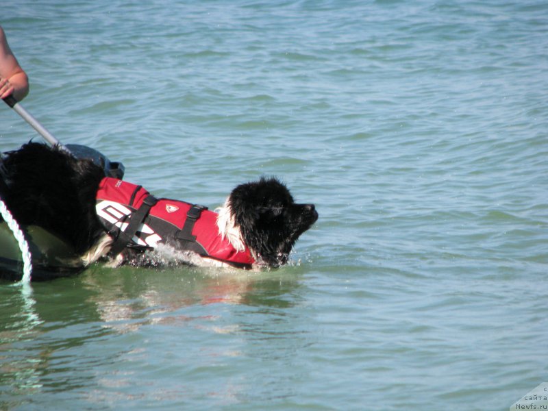 Фотография № 199349