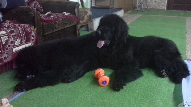 Фото: Наталья Смазчикова