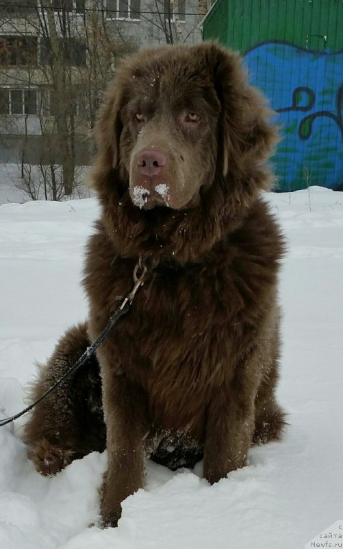 Фотография № 199364