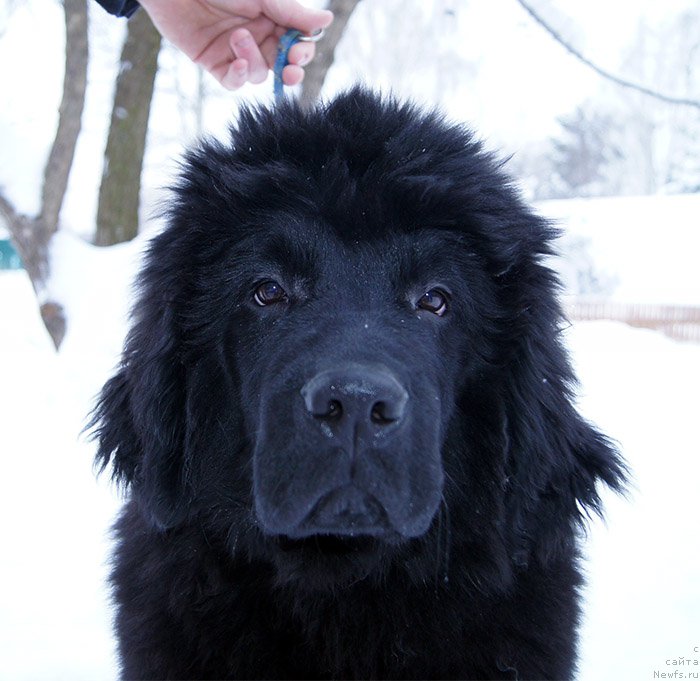 Фотография № 199381