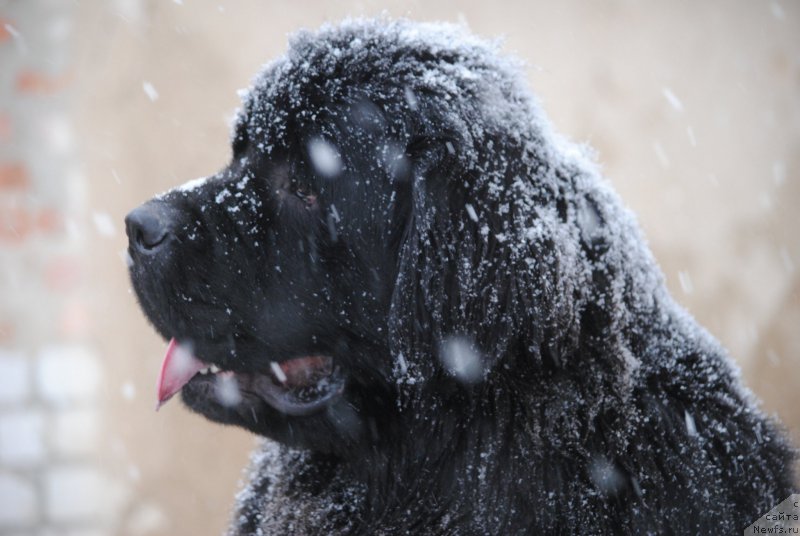 Фотография № 199419