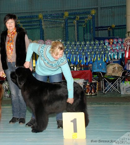 Фотография № 199428