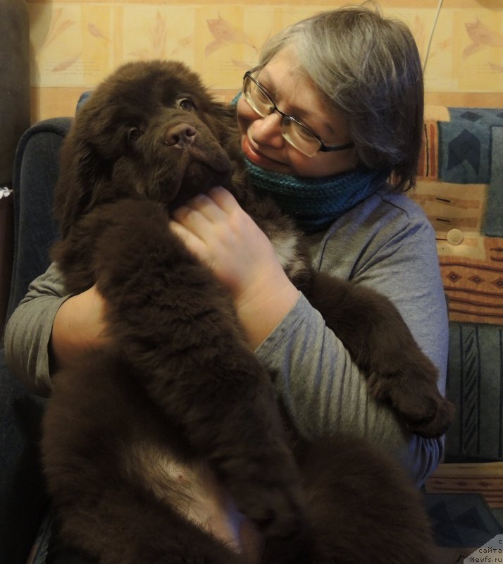 Фотография № 199444