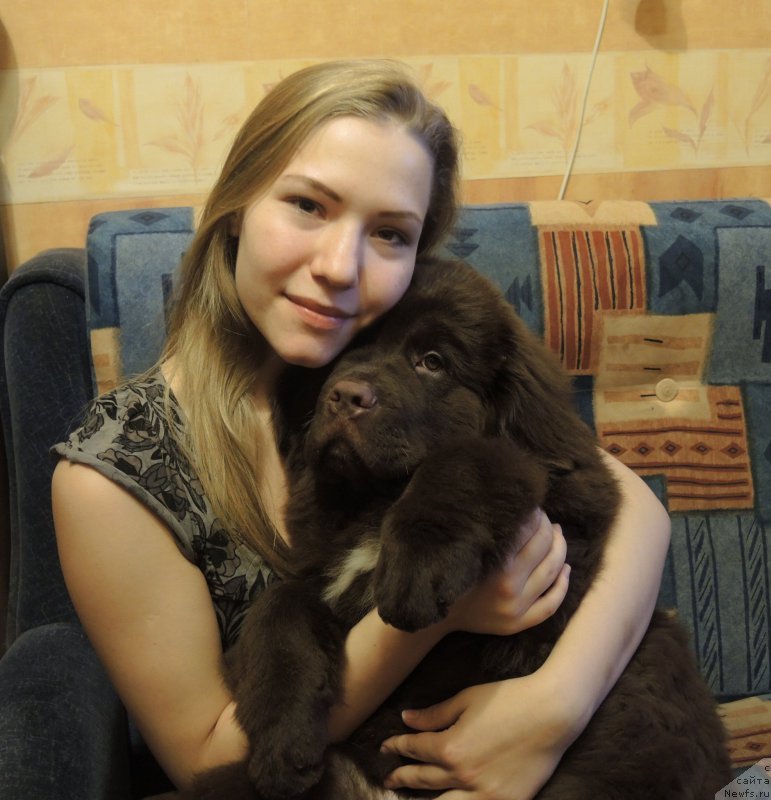 Фотография № 199445