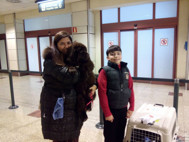 Фотография № 199446