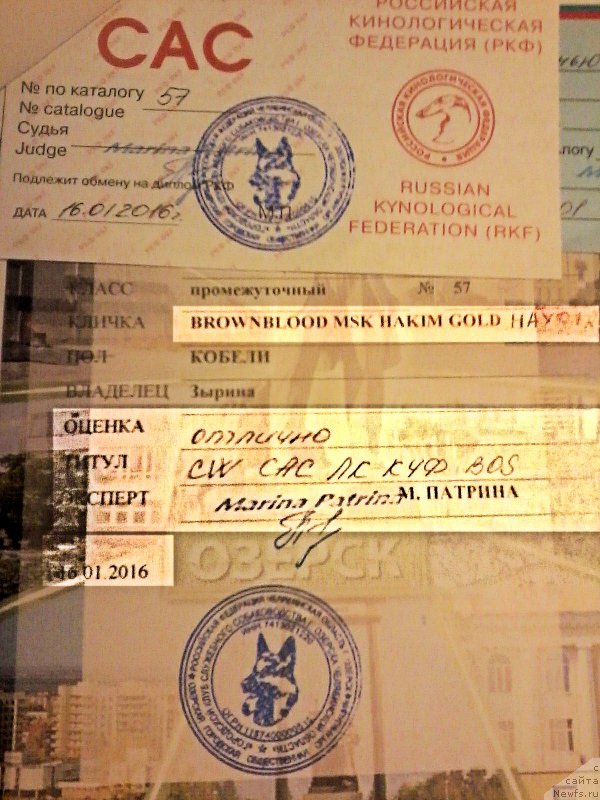 Фотография № 199449