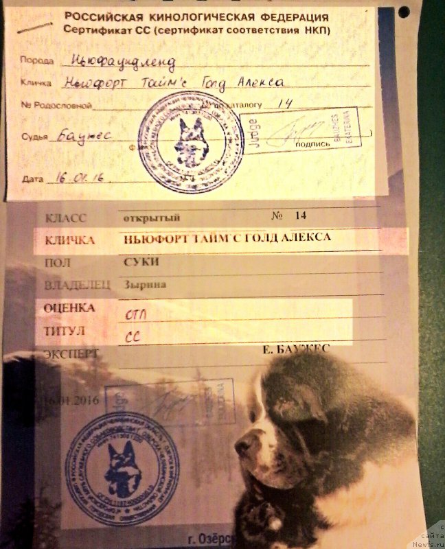 Фотография № 199452