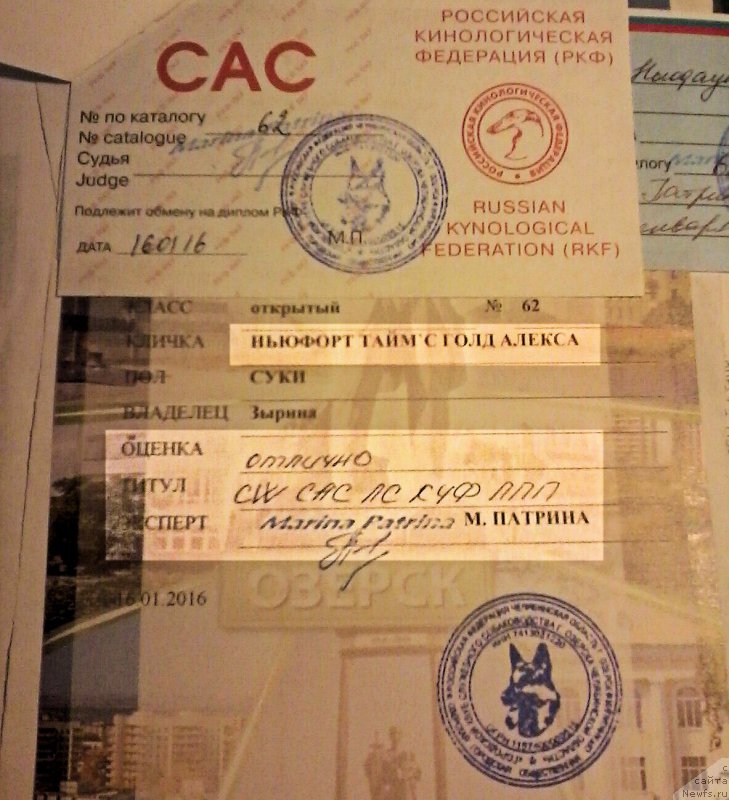 Фотография № 199453