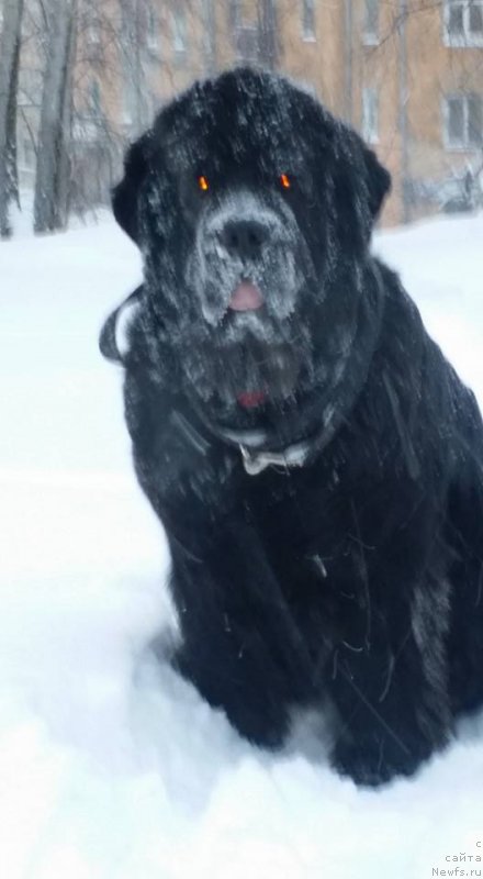 Фотография № 199460