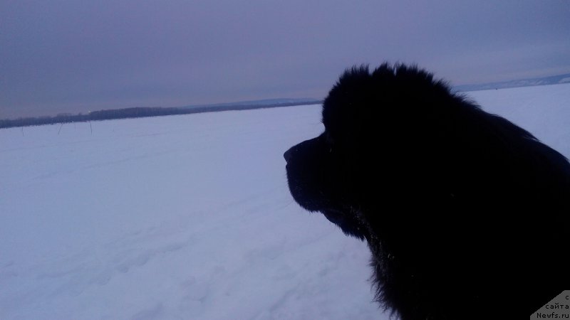 Фотография № 199484