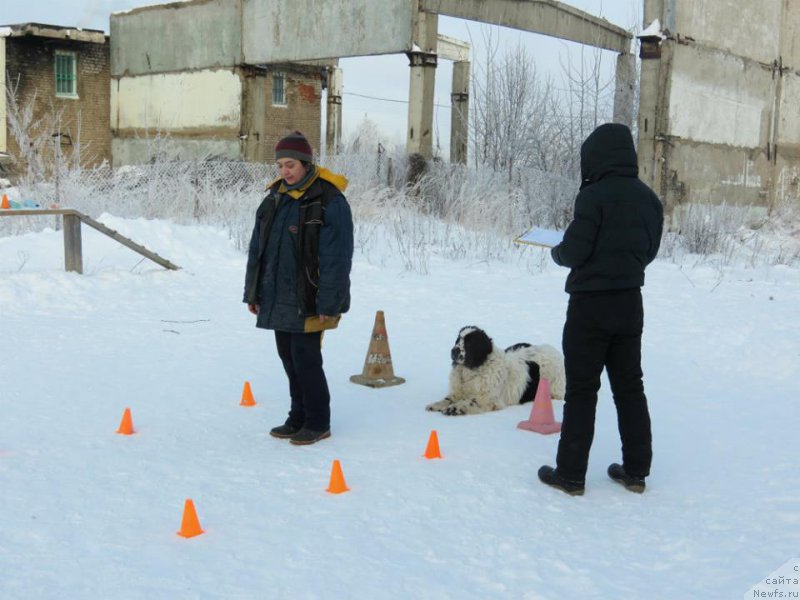 Фотография № 199490