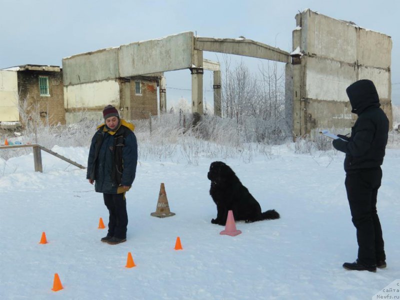 Фотография № 199491