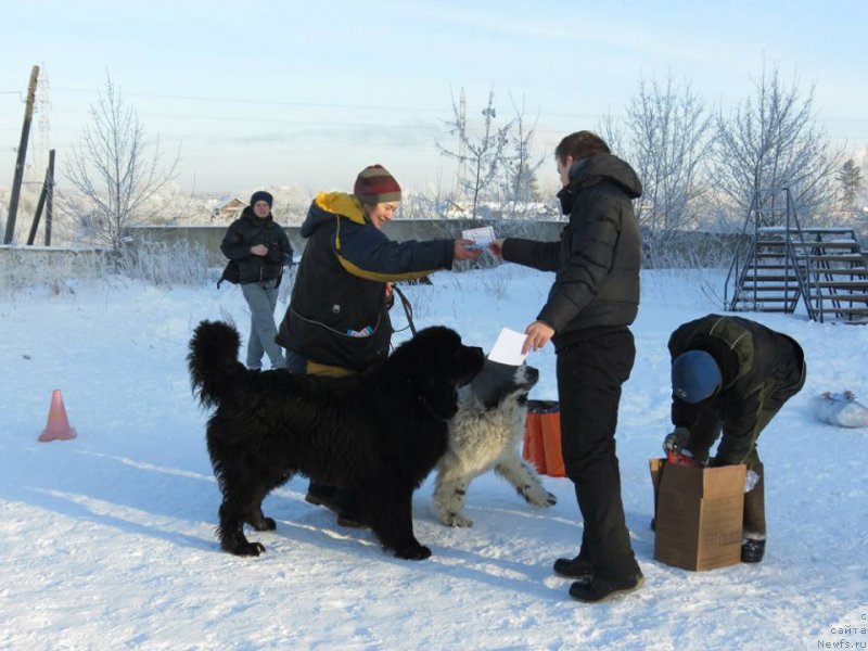 Фотография № 199492