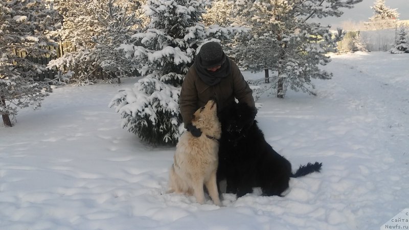 Фотография № 199510