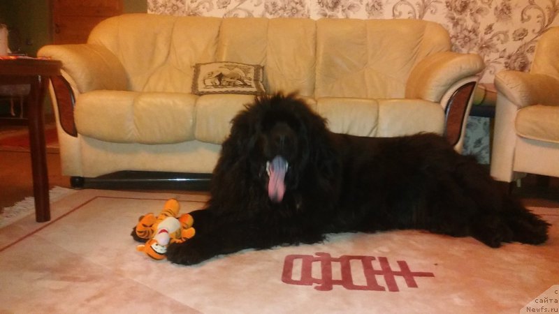 Фотография № 199511