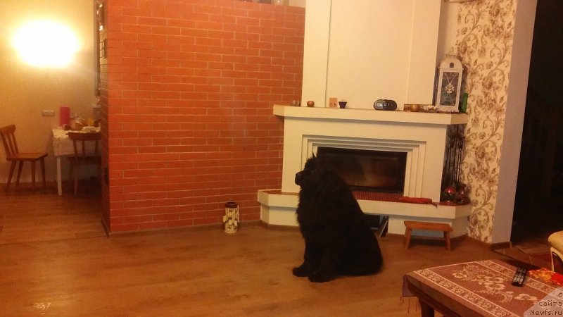 Фотография № 199514