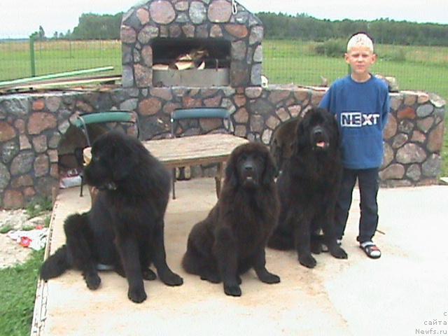 Фото: Раса Яанкуниеня