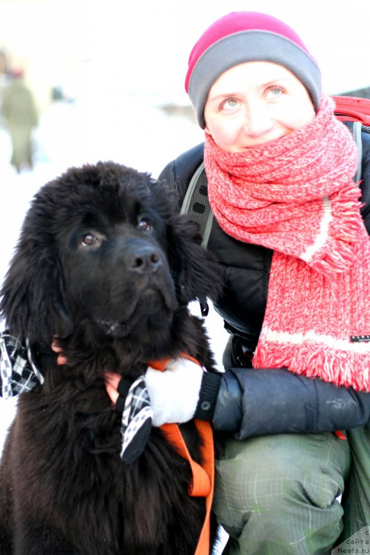 Фотография № 199524