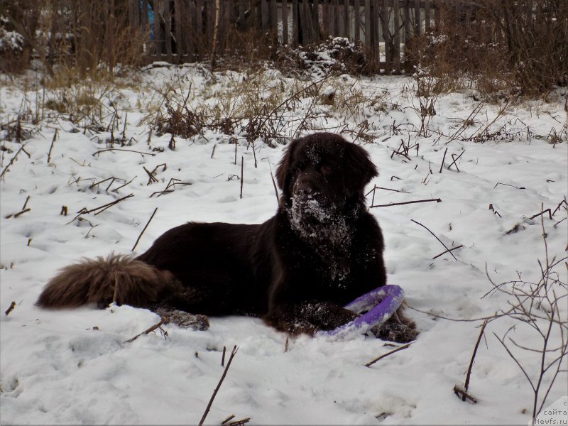 Фотография № 199549