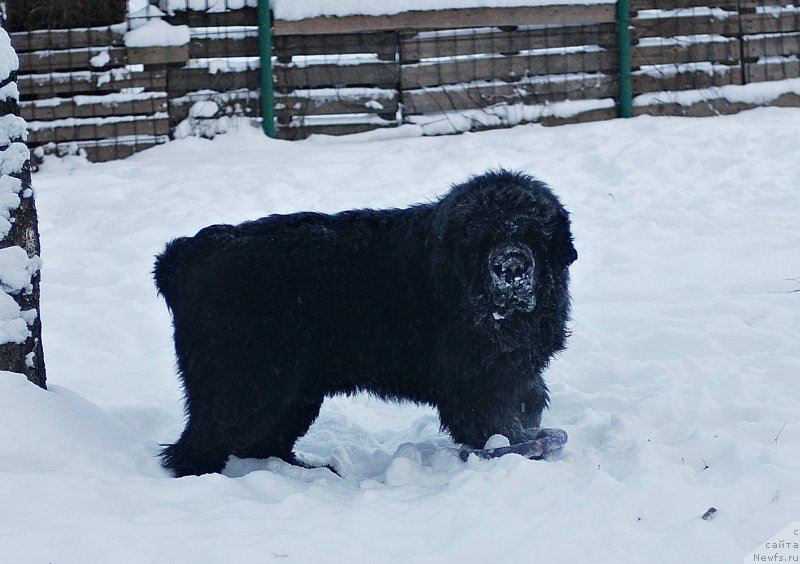 Фотография № 199555