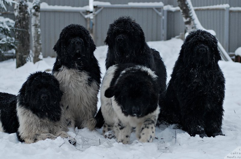 Фотография № 199557