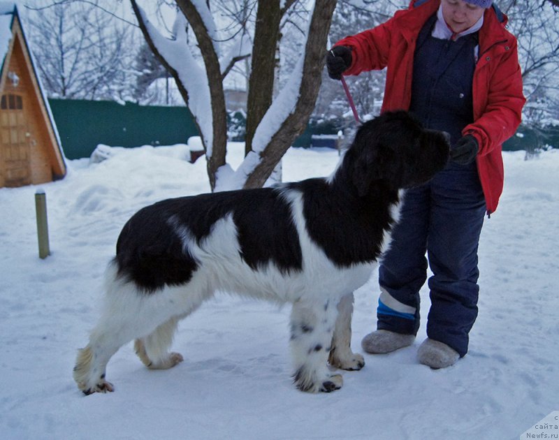 Фотография № 199575