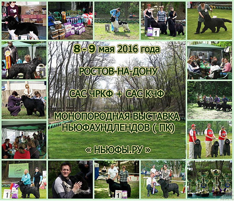 Фотография № 199576