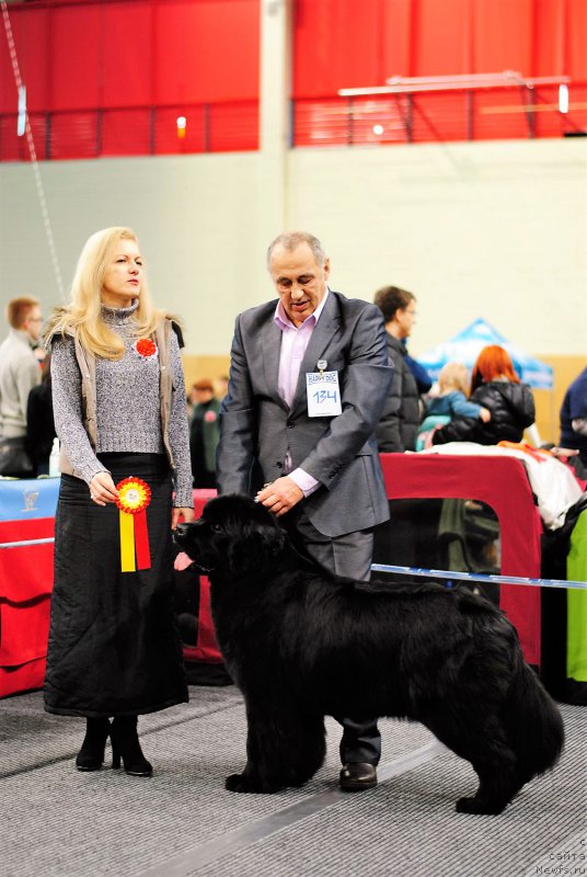 Фотография № 199602