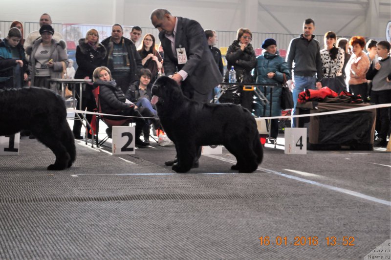 Фотография № 199603